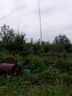 P7070011.JPG
